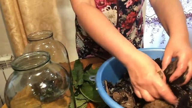 Чистая энергия и уборка в гармонии