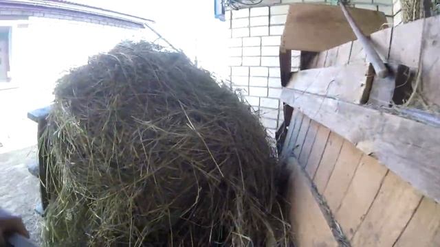 Кормушка для коз под зерно смотреть онлайн