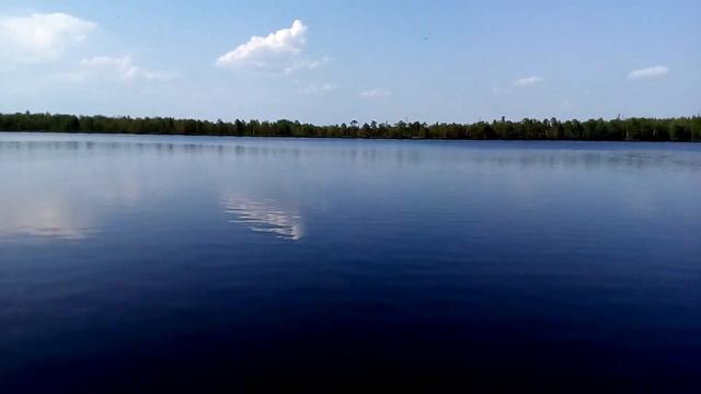 Посёлок Светлый (ХМАО). 06.07.2016. смотреть онлайн