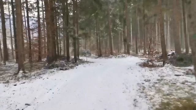 Австрия. Эмиграция. Первый опыт работы. Стройка. смотреть онлайн