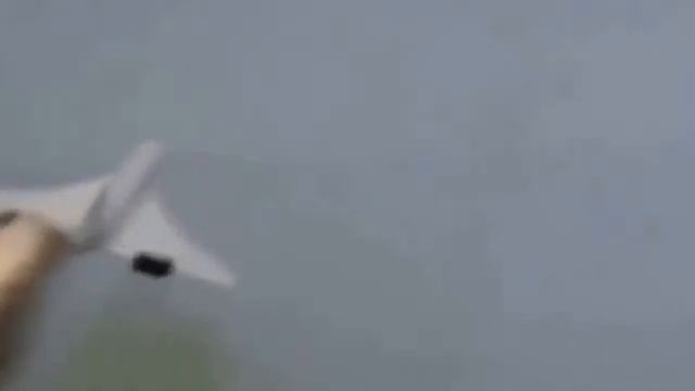 Гибель Конкорда