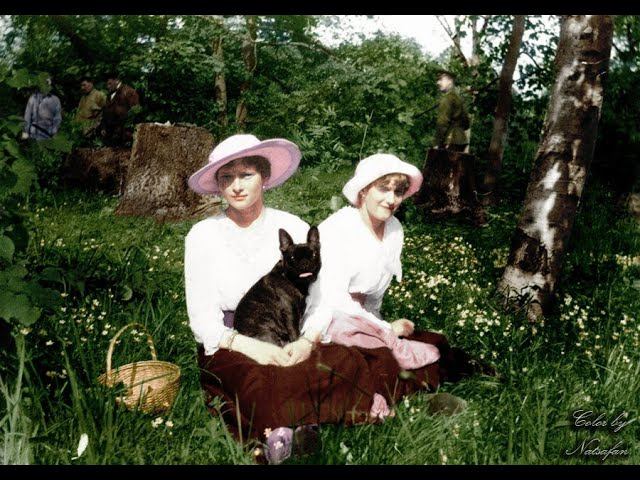 История любви французского бульдога по кличке Ортипо и Великой княжны Татьяны Николаевны Романовой смотреть онлайн