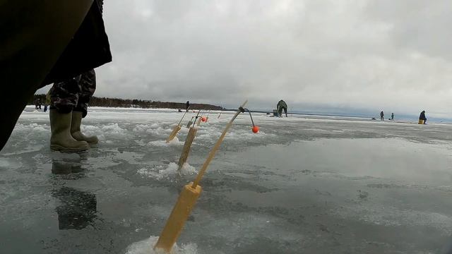 Рыбалка в Приветнинском 2021 смотреть онлайн