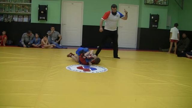 26.12.15 Кубок ЦФО по боевому самбо-борьба смотреть онлайн