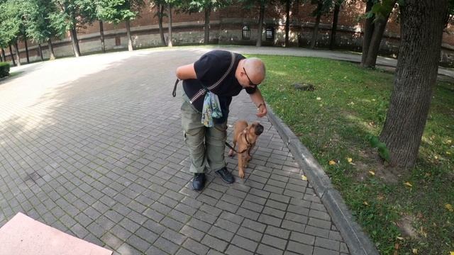 учим команду рядом смотреть онлайн