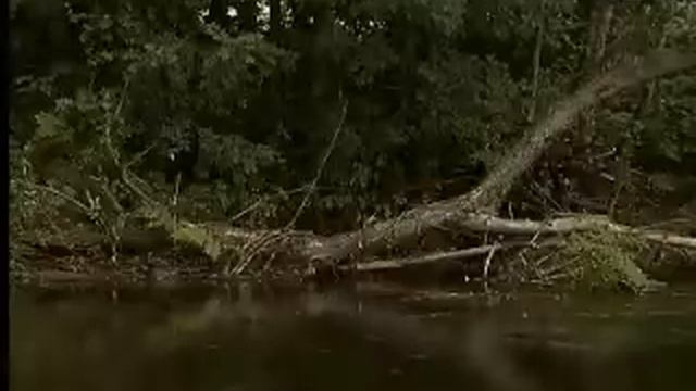 Ponte Mazaira TVG (1/2) смотреть онлайн