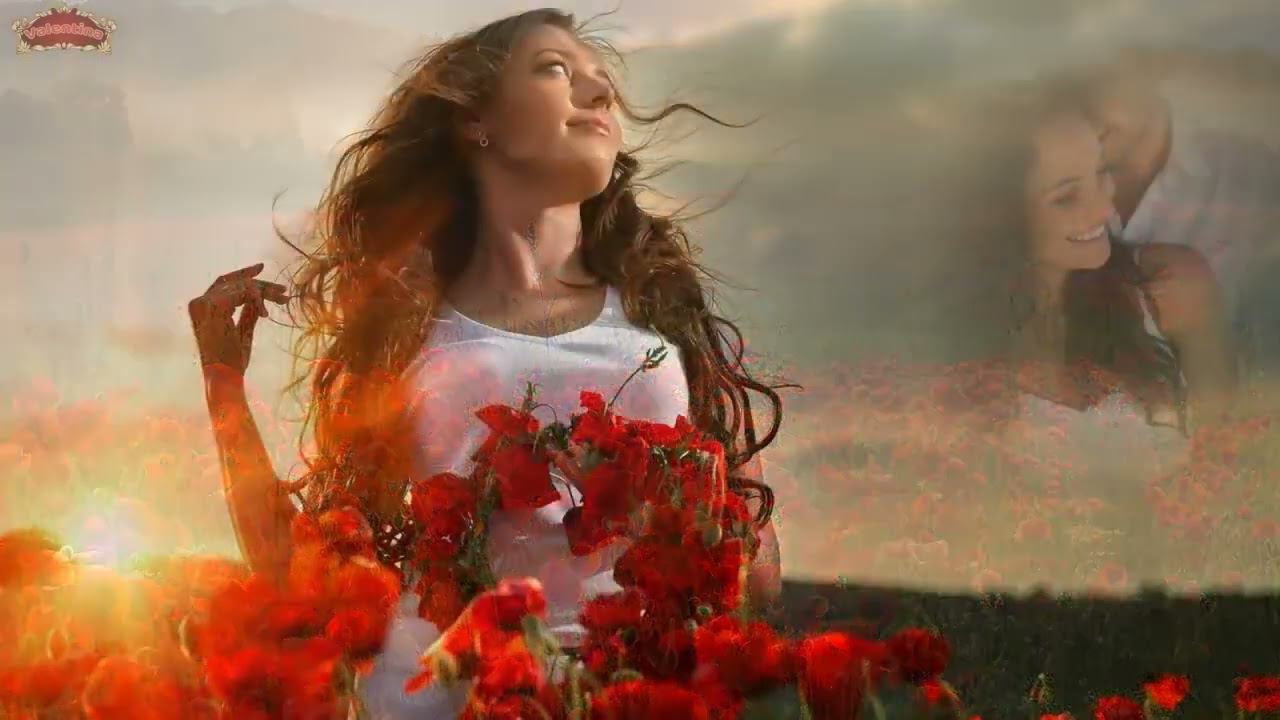 МАКОВОЕ ПОЛЕ!!!Татьяна Козловская!!!Надежда Бурцева!!!Олег Залозный!!! смотреть онлайн