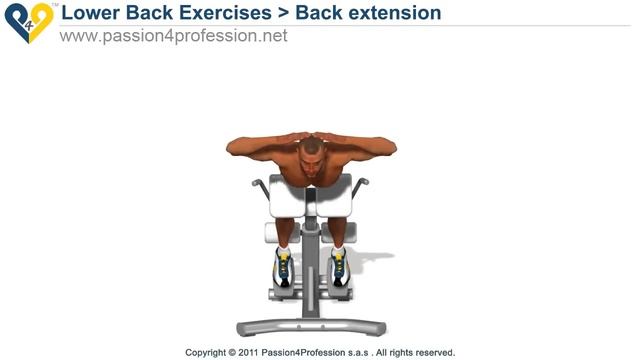 Back extension / Hyperextension ( lower back exercises ) смотреть онлайн