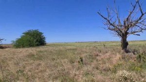 СРОЧНАЯ ПРОДАЖА !!!!Земля сельхоз 19 гектар в Крыму .