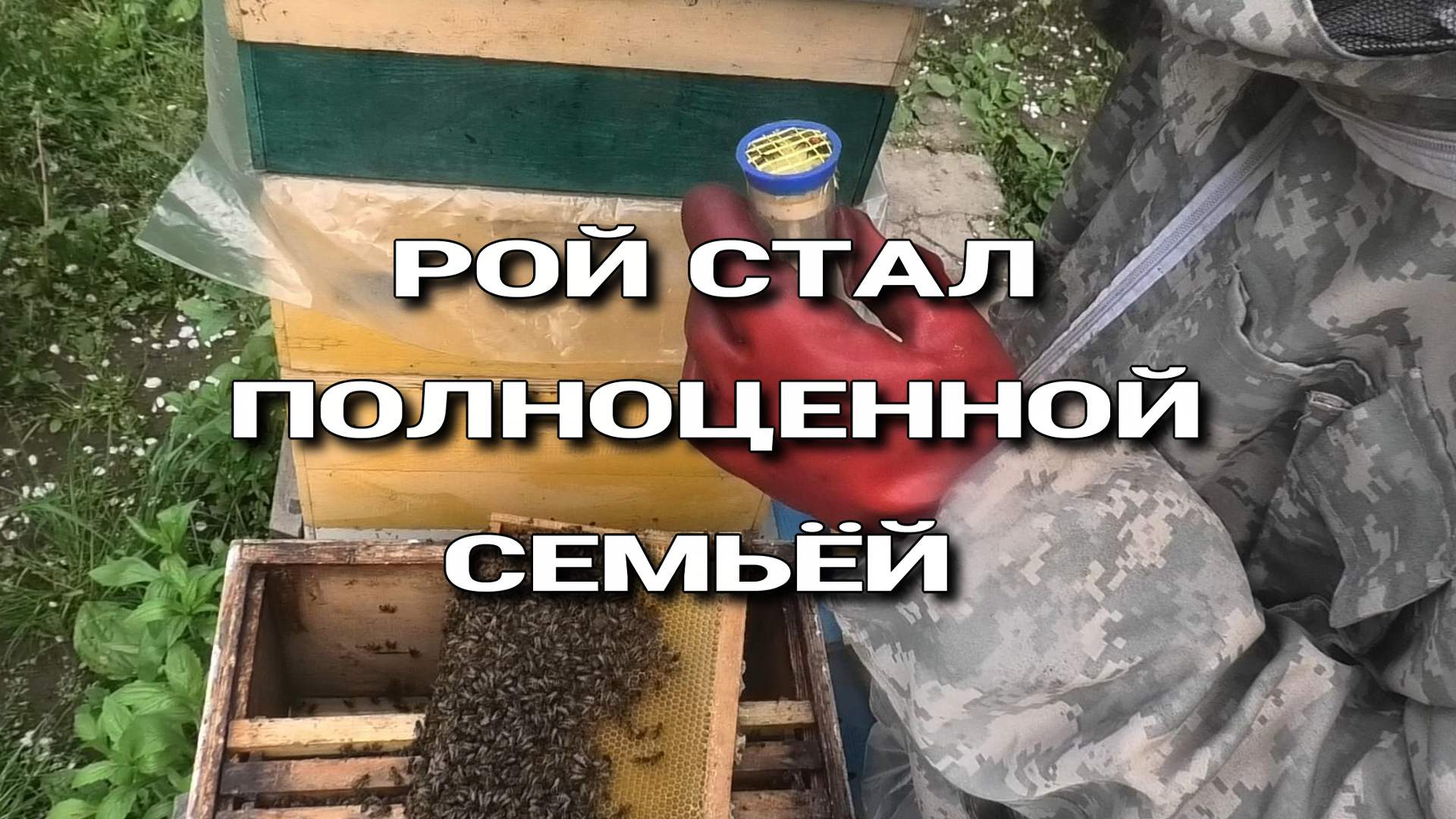 МЕТИМ МОЛОДУЮ МАТКУ смотреть онлайн