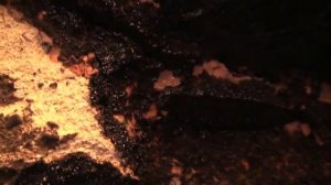 Откуда берется мумиё и как его добывают