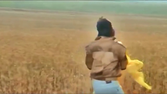 Прогулка (Shah Rukh Khan)