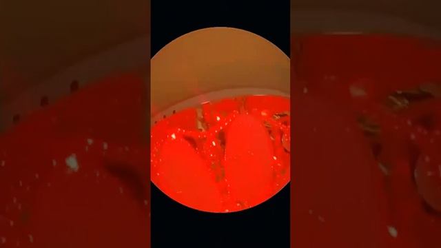 с родными ❤️ вся взаимно видео не брать запэндо ❗ смотреть онлайн