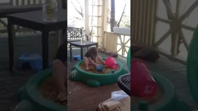 Concentrating is key in the turtle sandbox. смотреть онлайн