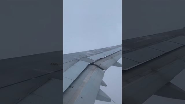 Om Hiranya Garbhaya Namaha. Mantra golden egg. смотреть онлайн