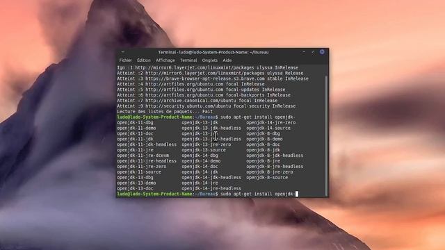[TUTO 2021] Installer java JRE et JDK sous Linux Mint смотреть онлайн