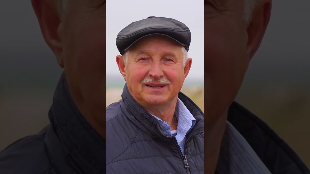 Минимальная обработка почвы в СПК Рассвет #сельхозтехника #трактор #фермер #кировец смотреть онлайн