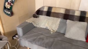 Сняли дом для двоих/ A-shalash/ Романтик/ обзор дома