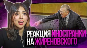 Иностранка о Жириновском: реакция