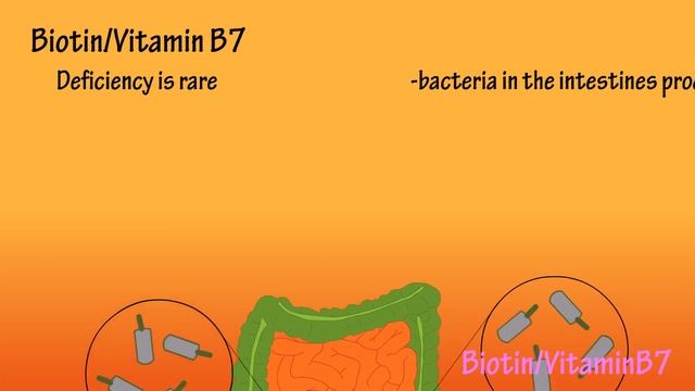 What Is Biotin Vitamin B7 - Functions, Benefits Of, Foods High In Biotin Vitamin B7 смотреть онлайн
