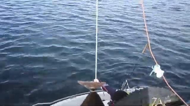 Fishing in Norway (Gjesvaer) смотреть онлайн