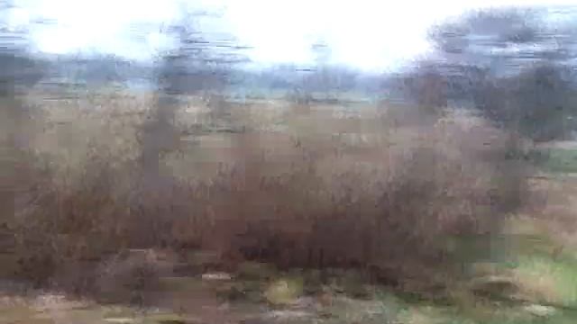 У 1 УК смотреть онлайн