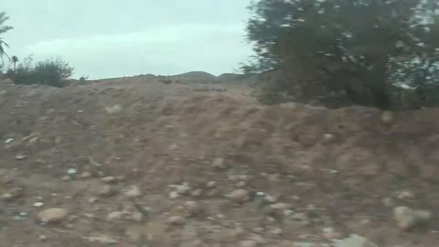 Экскурсия в пустыню, 1 день, Берберы, верблюды и закат смотреть онлайн