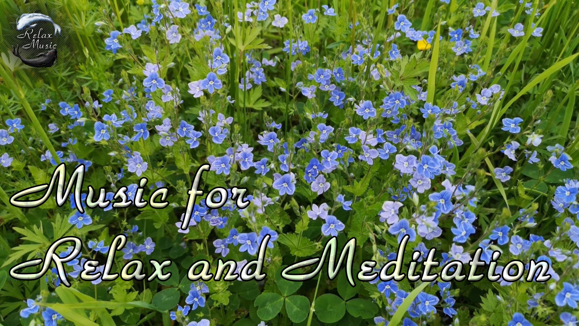 Красивая восточная музыка для медитации, отдыха, спа. смотреть онлайн