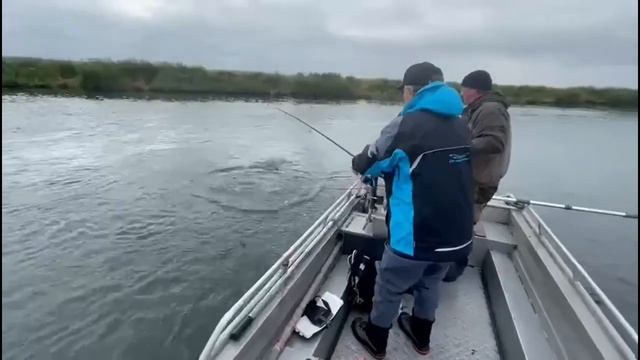 Kamchatka 2021 смотреть онлайн