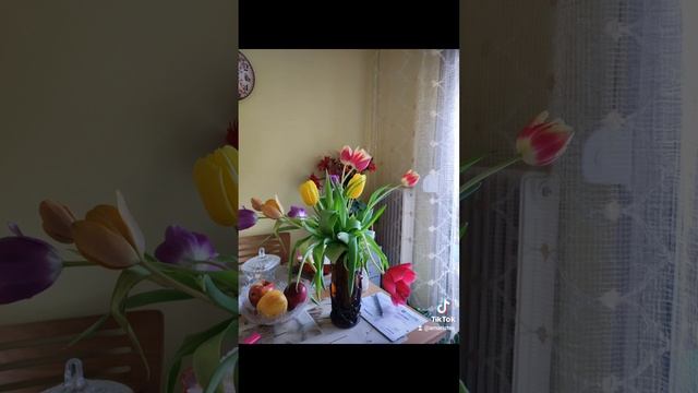 Букет тюльпанов ??? смотреть онлайн