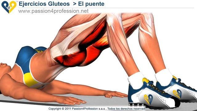 Ejercicio "puente" para tonificar los gluteos смотреть онлайн
