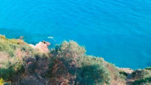 SENZA GARDEN HOLIDAY CLUB 5* (реально 3*) новый обзор Алания Турция Самая ужасная пятерка HD 4K