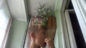 Я съел бумагу