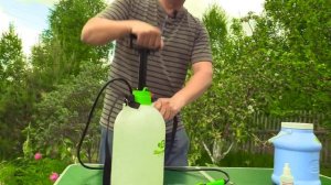 Как избавиться от тли при помощи аммиака?