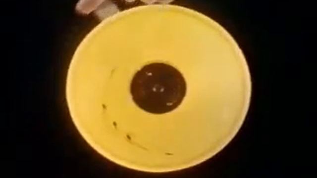 Low Reynolds Number Flows | Fluid Mechanics смотреть онлайн