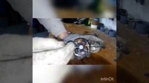 Пежо 206 1.4 не работает стартер. Снятие стартера. Разборка стартера пежо206. Диагностика стартера