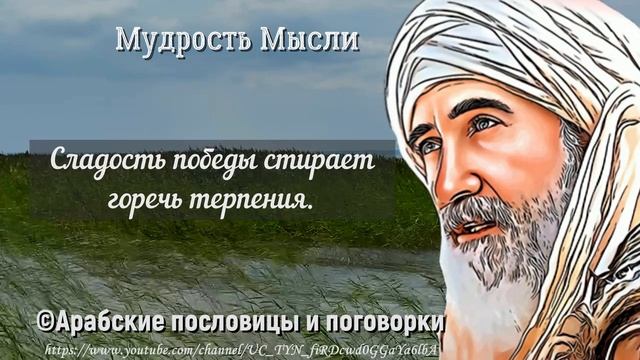 Лучшие Арабские Пословицы и Поговорки Которые я Слышал! Арабская Мудрость смотреть онлайн
