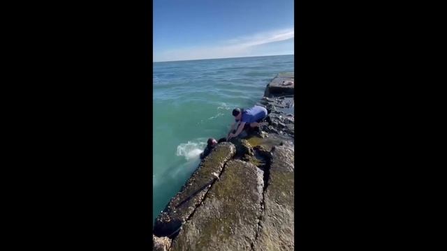 САНЯ БЫК НЫРЯЕТ ЗА СУМКОЙ В ЧЁРНОЕ МОРЕ смотреть онлайн