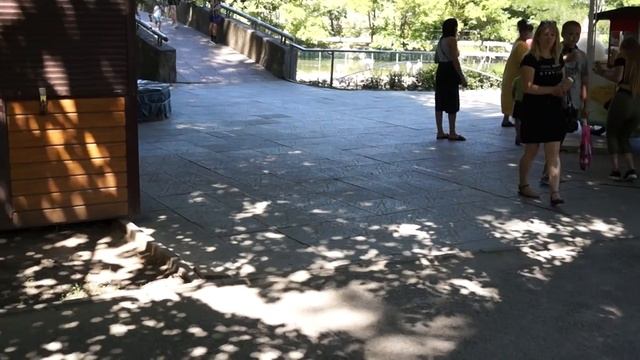 Ростовский зоопарк. Август 2020. Сёма и Макс увидели слона и белого мишку. смотреть онлайн