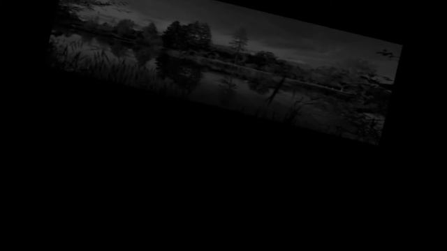 Skripka Maestro Ceyhun