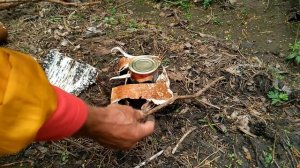 Как сделать березовый деготь из бересты и консервных банок