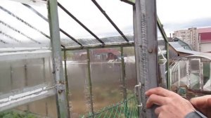 Теплица, какая лучше, стеклянная или из поликарбоната.