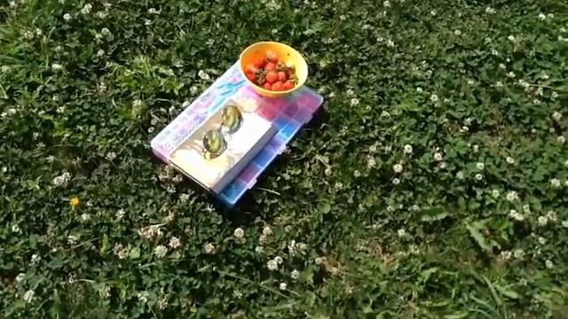 | ФАВОРИТЫ ЗА ИЮНЬ ☀️| ДАЧА| YANA SAY смотреть онлайн