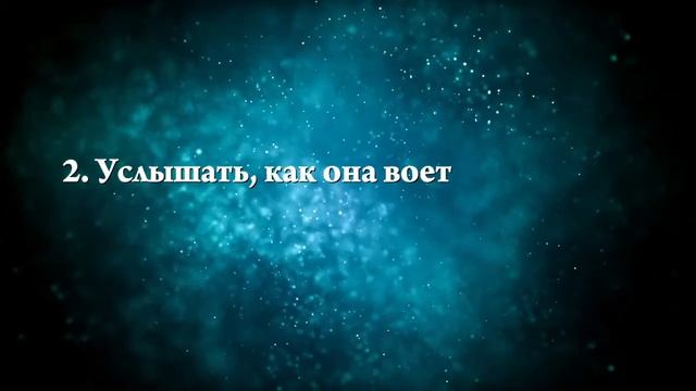 К чему снится маленькая собака - Онлайн Сонник Эксперт смотреть онлайн