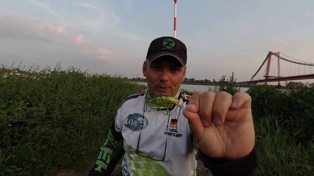 Как поймать Судака на воблеры. Уроки для слабого пола.