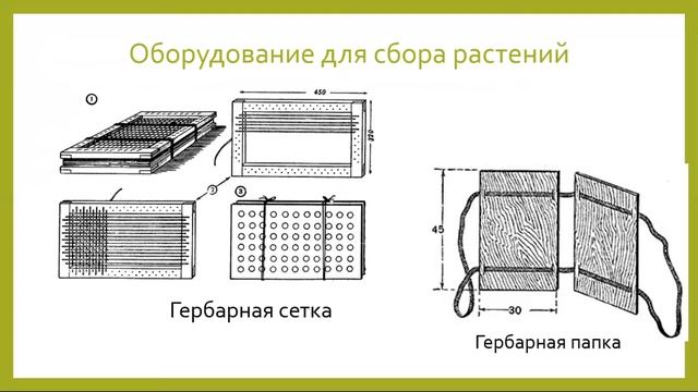 Создание гербария смотреть онлайн