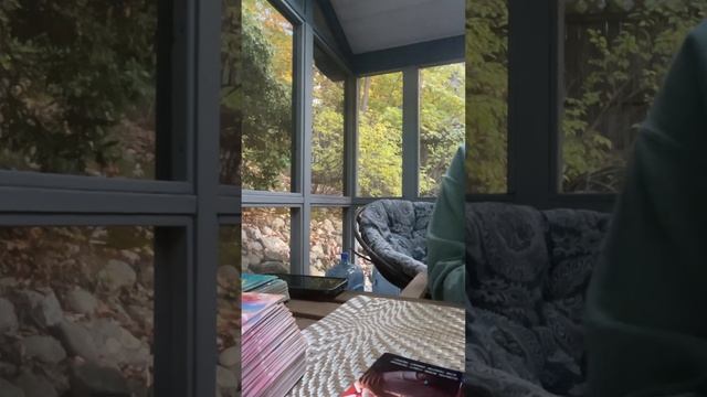 YOU GOT OPTIONS! & A PASSIONATE NEW BEGINNING ❤️? | #lovereadings #lovemessages смотреть онлайн