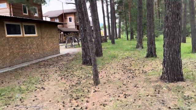 База отдыха Корогон Алтай смотреть онлайн