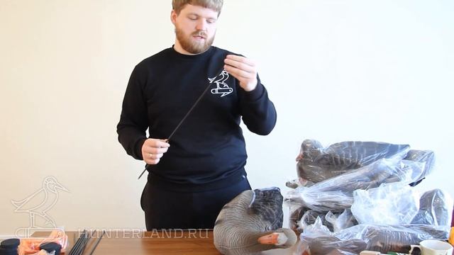 КОМПЛЕКТ ЧУЧЕЛ БЕЛОЛОБОГО ГУСЯ, 