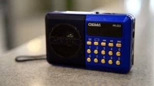 РАДИОПРИЕМНИК СИГНАЛ РП-222